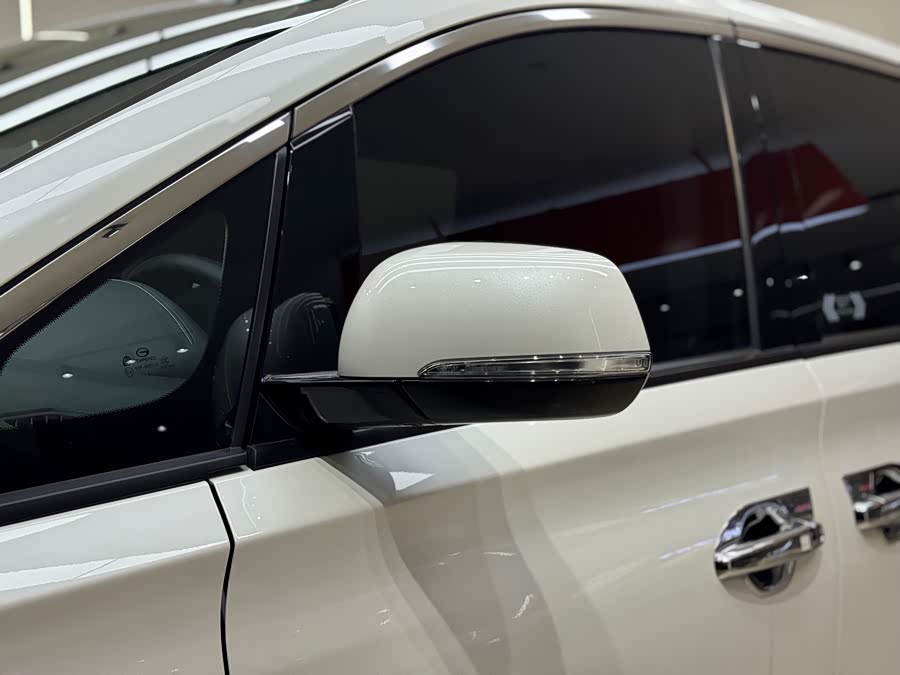 GAC Trumpchi M8 2020 #10 GAC Trumpchi M8 2020 car image #10