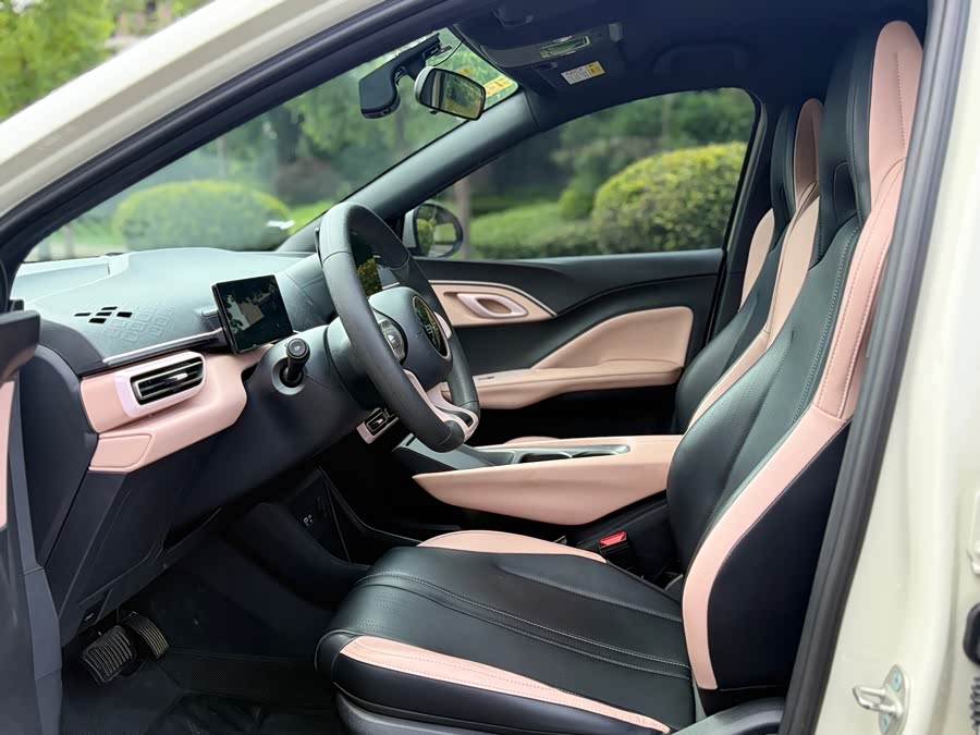 BYD Seagull 2024 car image #10