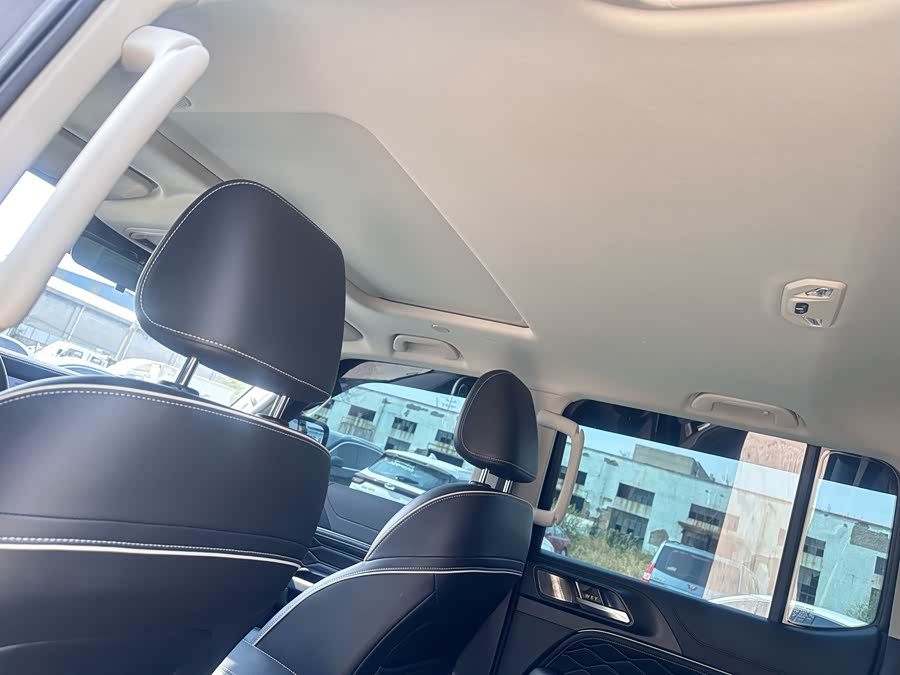 Tank 300 New Energy 2024 car image #10