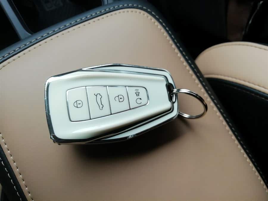 GEELY OkavangoPRO 2025 immagine di auto #10