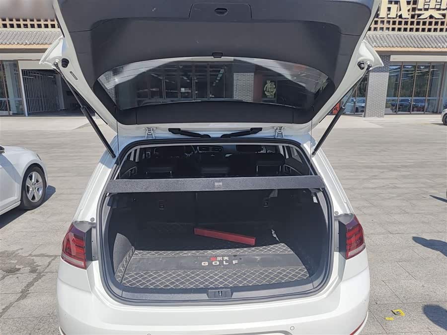 Volkswagen Golf Pure Electric 2020 imagen de coche #10