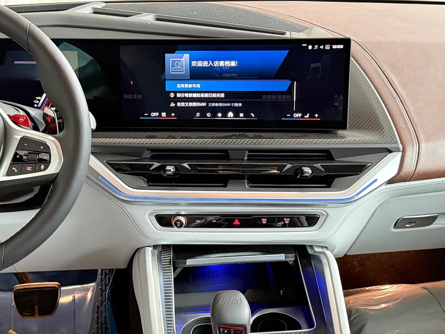 BMW XM صورة سيارة #10