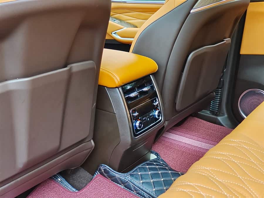 Tank 500 New Energy 2025 immagine di auto #10