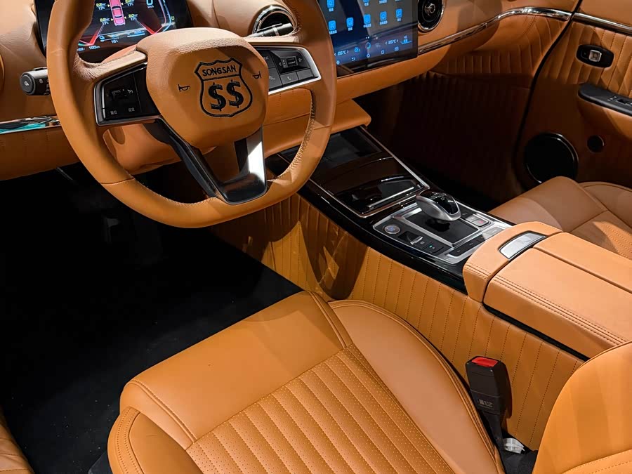 SONGSAN MOTORS SS DOLPHIN 2023 汽车图片 #10