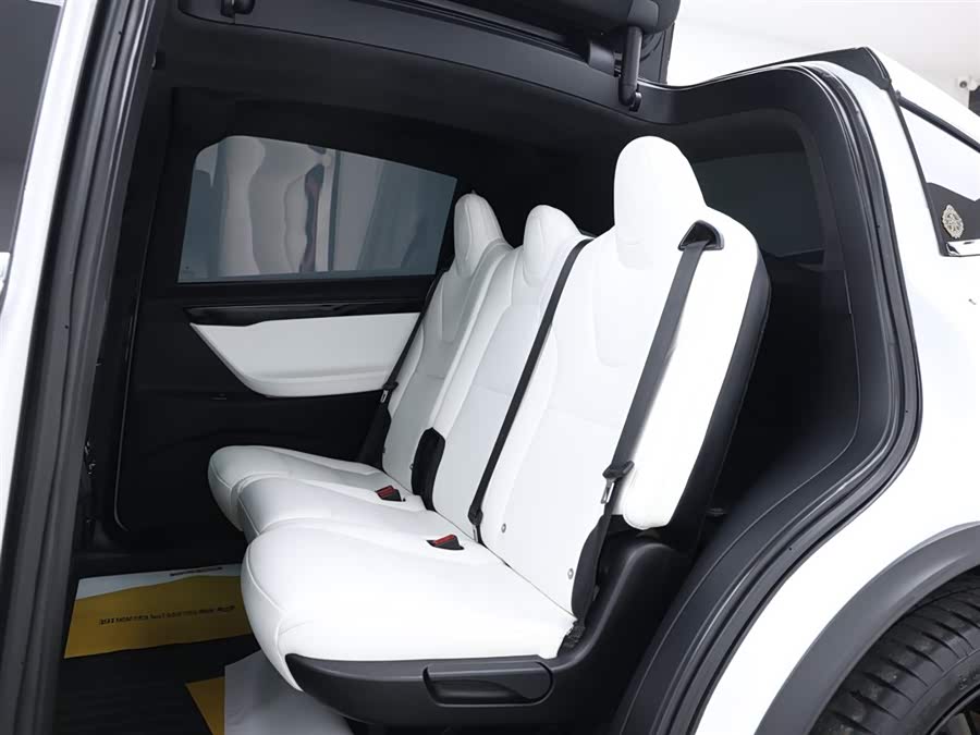 Tesla Model X 2019 car image #10