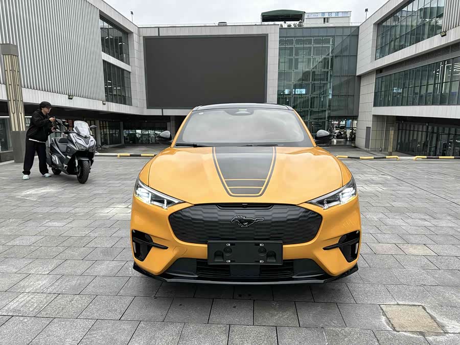 Ford Mustang Mach-E 2023 car image #10