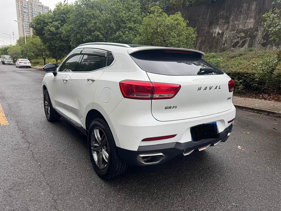 Haval F5 2018 car image #10