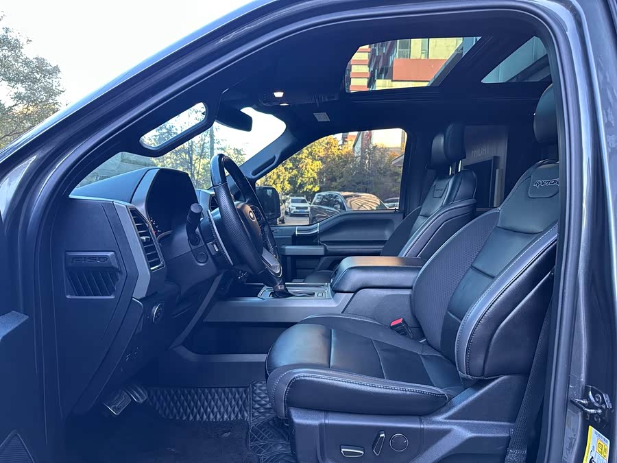 Ford F-150 Raptor 2019 car image #10