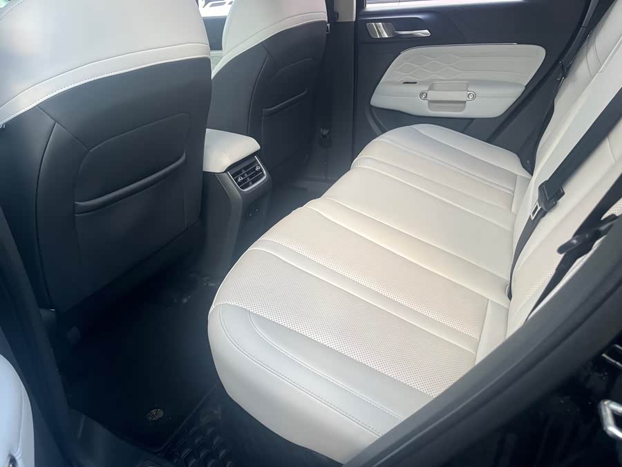 Tank 300 New Energy 2024 car image #10