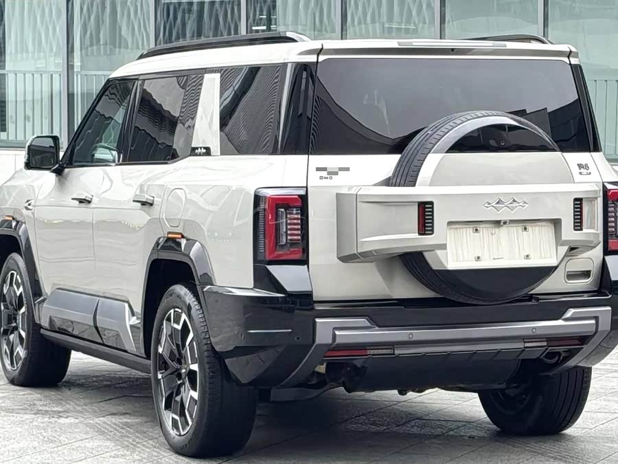 FangChengBao Leopard 8 2024 immagine di auto #10