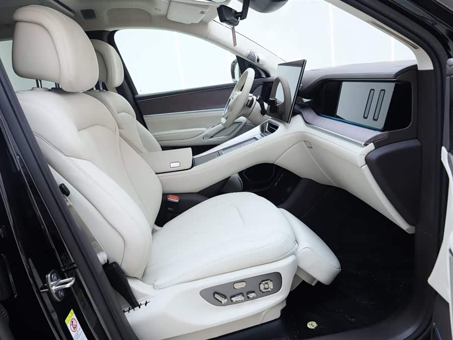 Denza N9 2025 car image #10