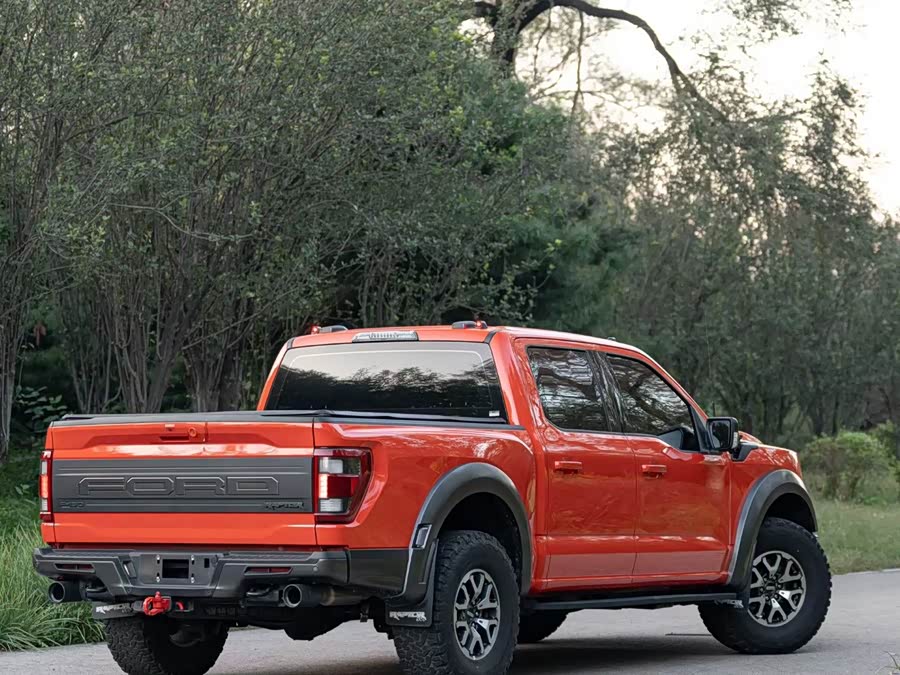Ford F-150 Raptor 2023 car image #10