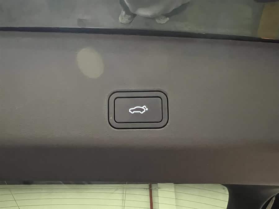 GEELY Monjaro 2024 car image #10
