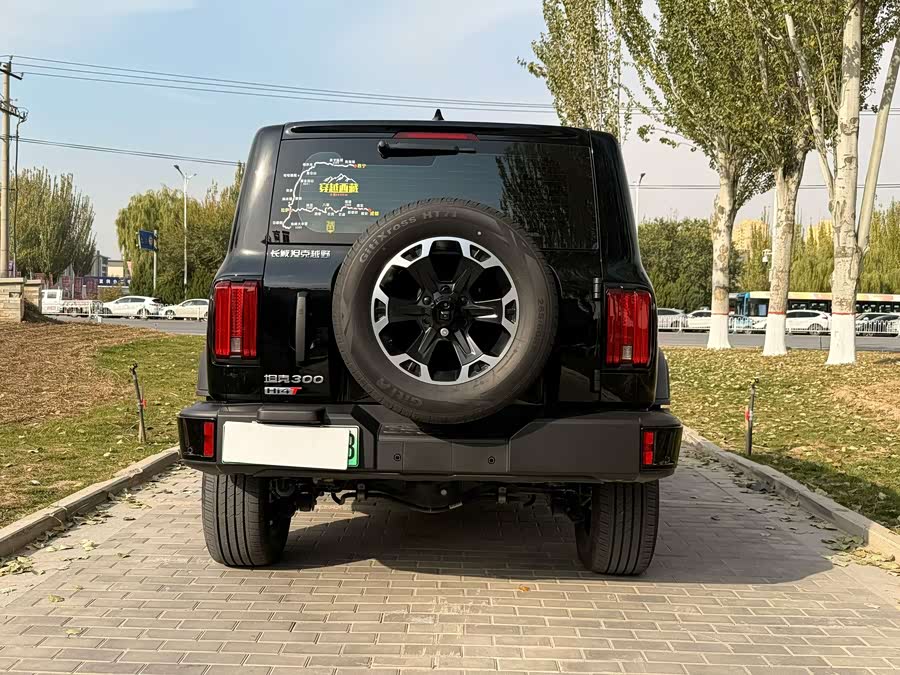 Tank 300 New Energy 2025 imagem de carro #10