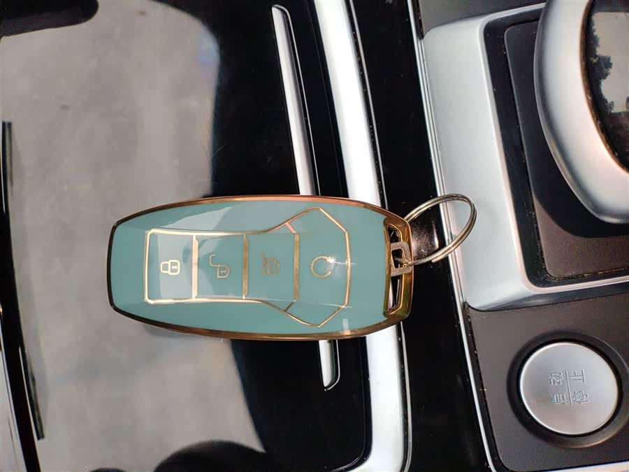 BYD Qin Pro New Energy 2021 car image #10