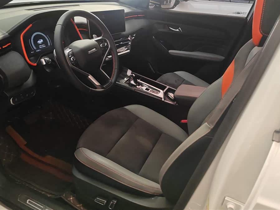 Haval Rabbit 2021 immagine di auto #10