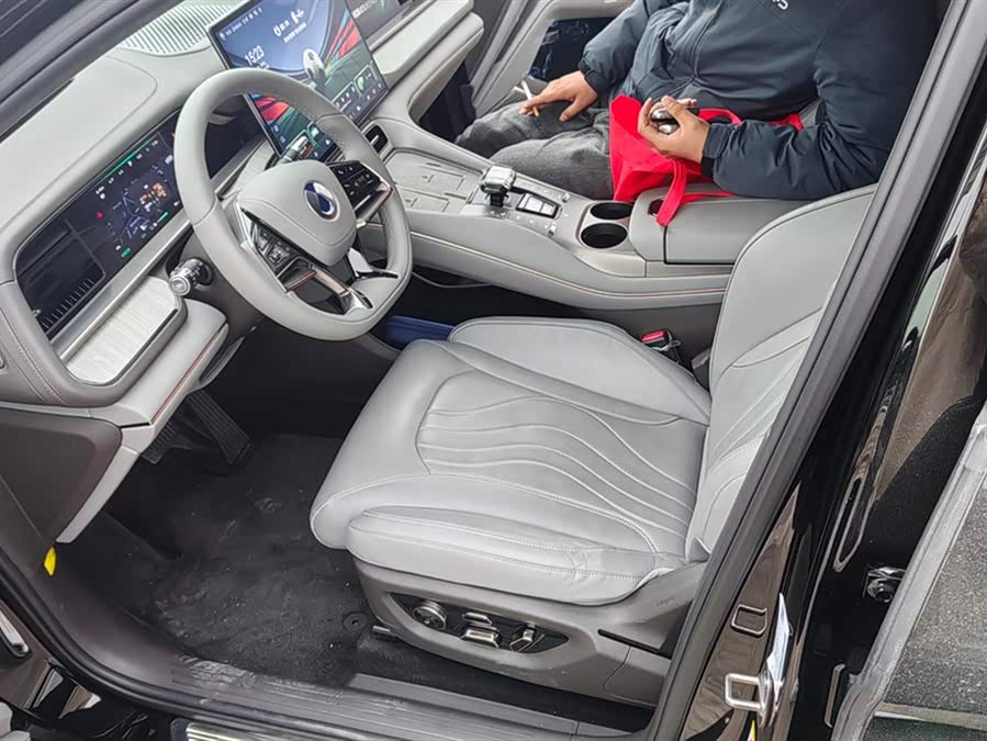 Denza N7 2023 car image #10