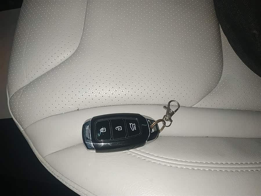 HongQi E-HS3 2019 #10 HongQi E-HS3 2019 car image #10