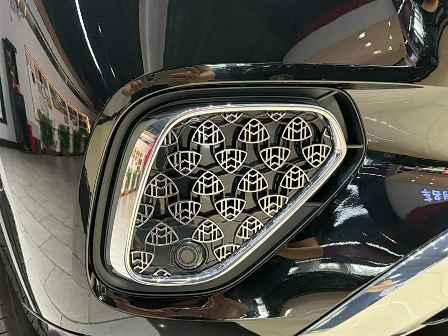 Mercedes-Benz Maybach GLS 2024 car image #10