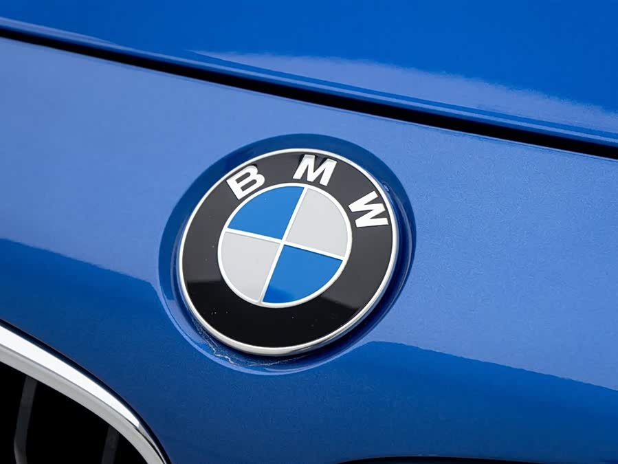 BMW 3 Series GT 2019 car image #10