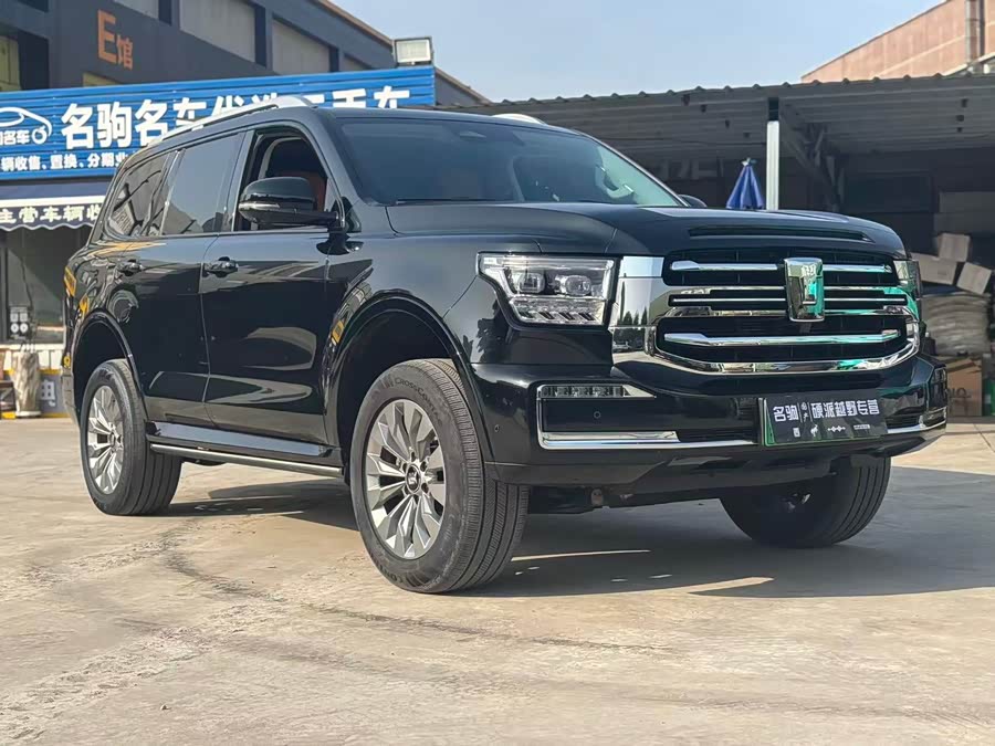 Tank 500 New Energy 2024 car image #10