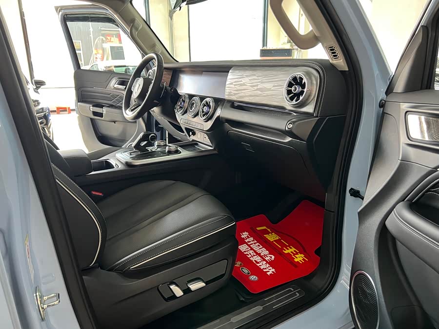 Tank 300 New Energy 2024 car image #10