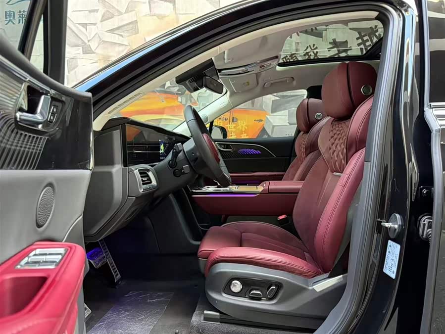 HongQi E-HS9 2023 immagine di auto #10