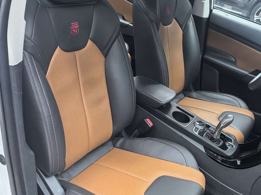 BYD Qin New Energy 2016 car image #10