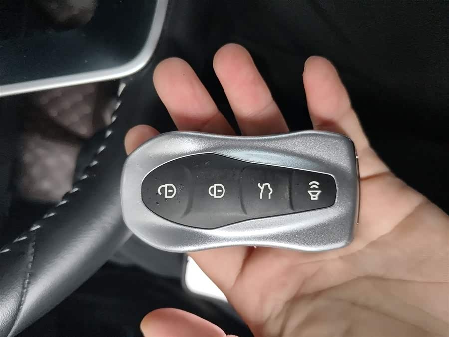 GEELY Tugella New Energy 2019 car image #10