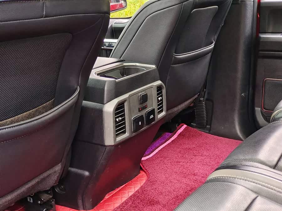 Ford F-150 Raptor 2018 car image #10