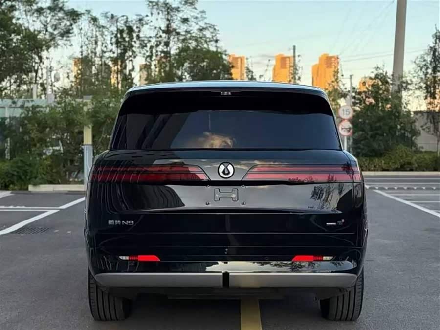 Denza N9 2025 immagine di auto #10