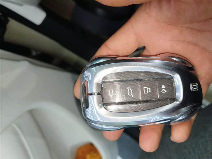 Tank 300 New Energy 2025 imagem de carro #10