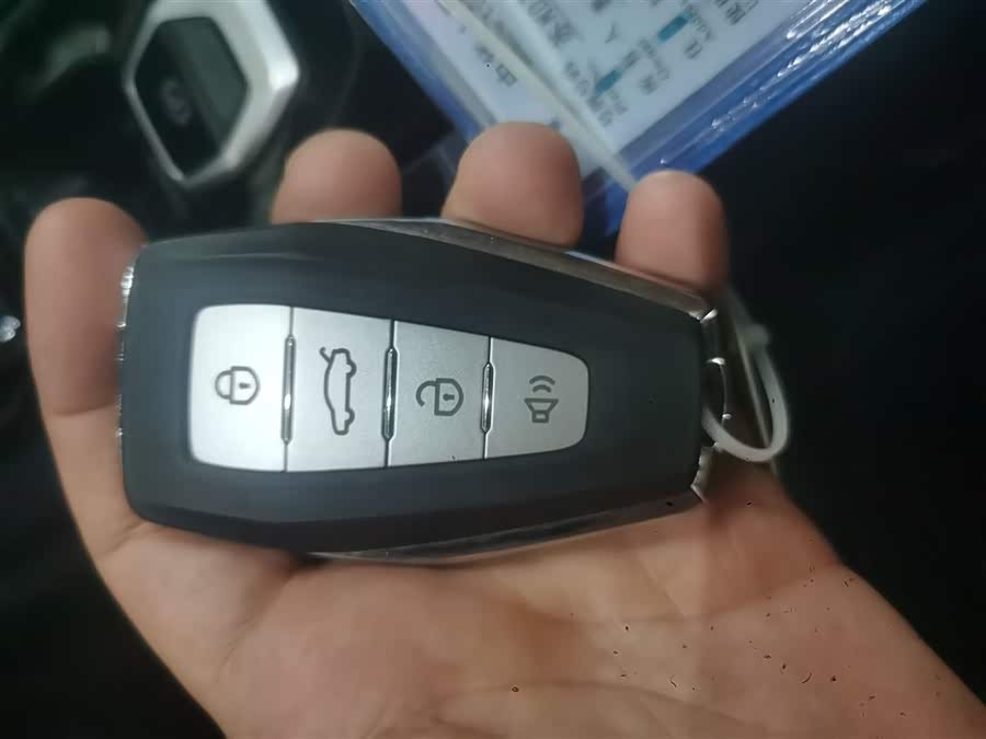 睿蓝汽车 睿蓝9 2024 汽车图片 #10