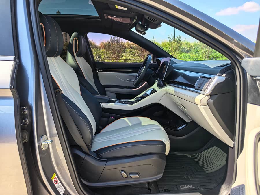 BYD Song Plus New Energy 2021 car image #10
