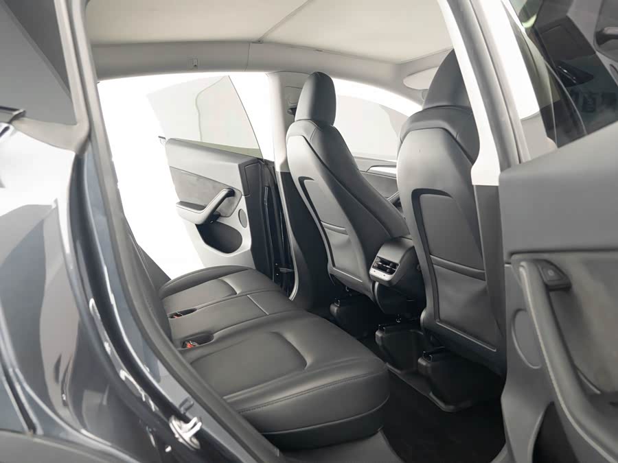 Tesla Model Y 2024 car image #10