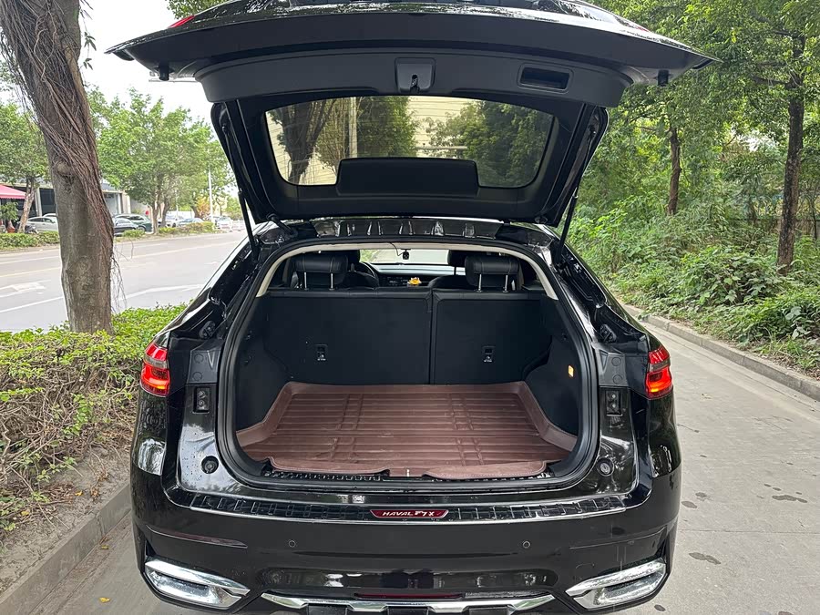 Haval F7x 2019 #10 Haval F7x 2019 car image #10