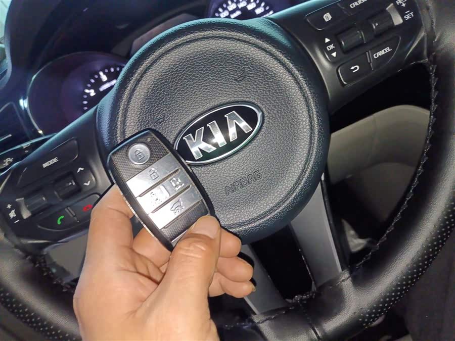 起亚 嘉华(进口) 2018 汽车图片 #10