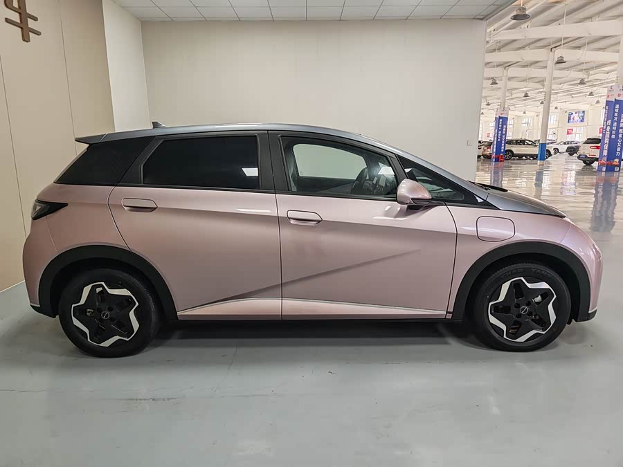 比亚迪 海豚 2022 汽车图片 #10