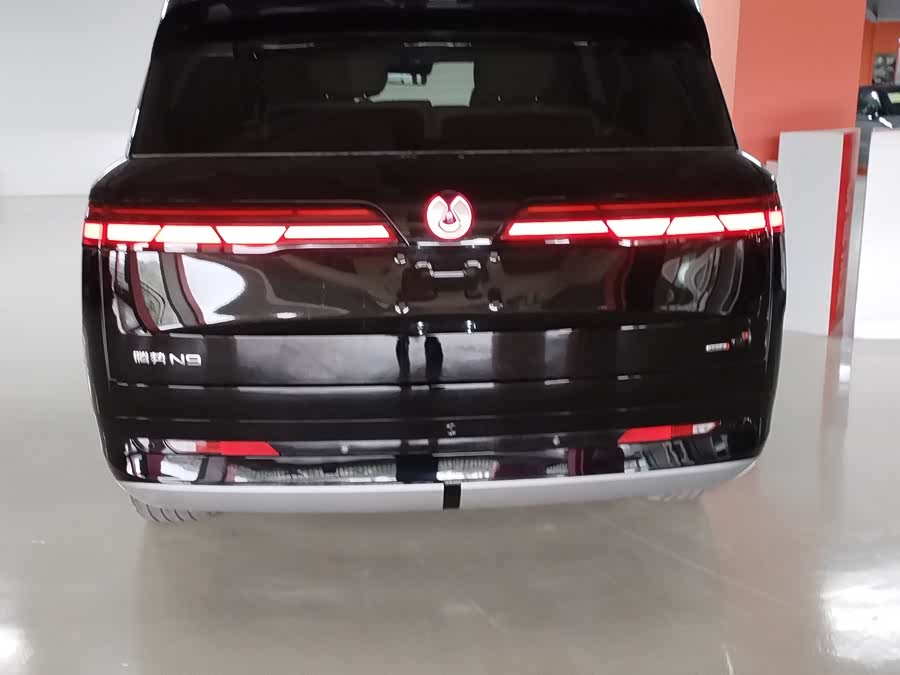 Denza N9 2025 car image #10