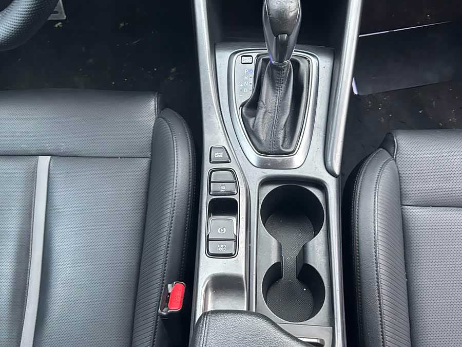 Hyundai Lafesta 2019 car image #10