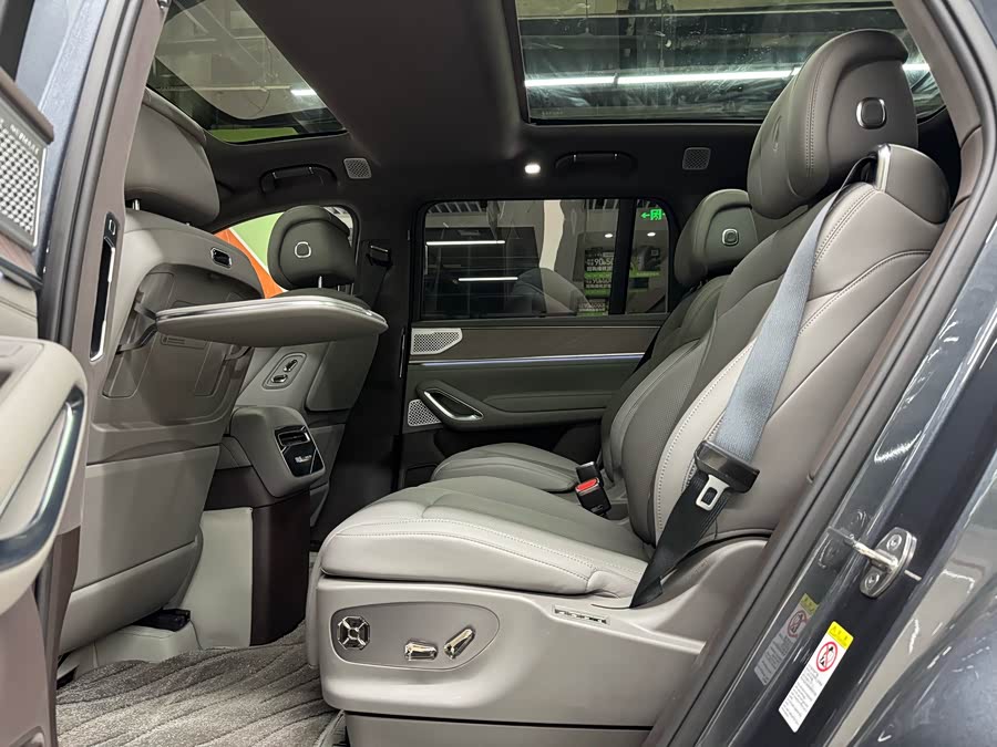 Denza N9 2025 car image #10