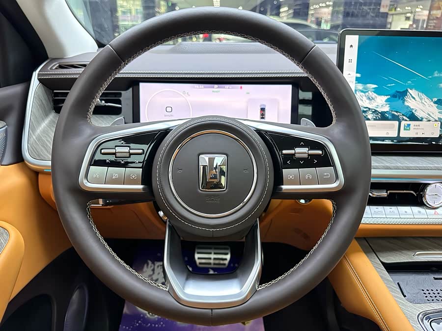 Tank 500 New Energy 2025 immagine di auto #10