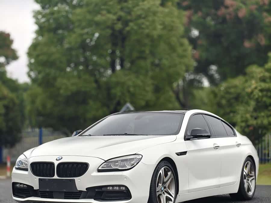BMW 6 Series 2016 car image #10