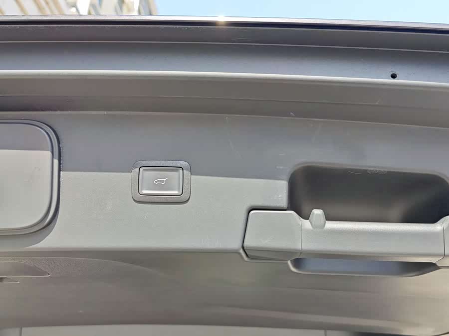 HongQi HQ9 2023 car image #10