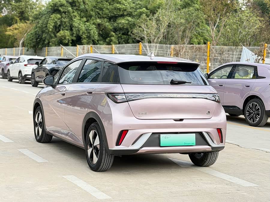 比亚迪 海豚 2023 汽车图片 #10