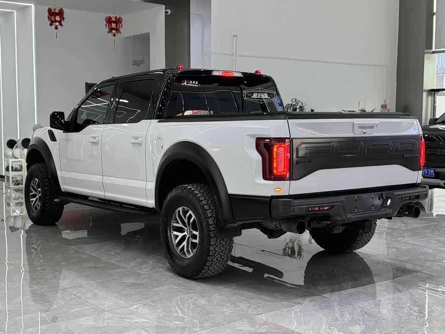 Ford F-150 Raptor 2018 car image #10