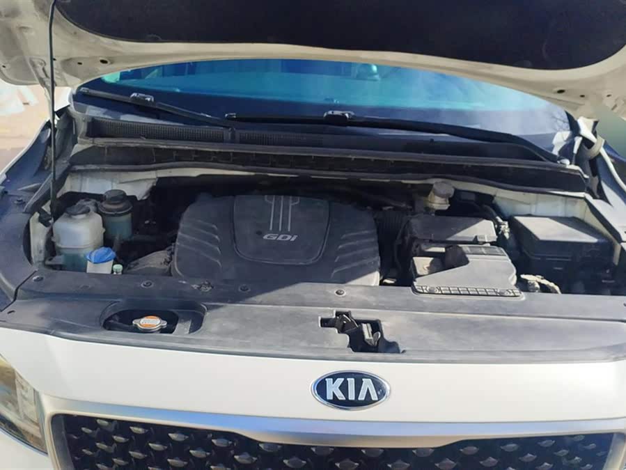 起亚 嘉华(进口) 2017 汽车图片 #10