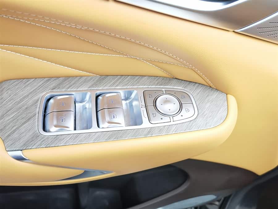 Tank 500 New Energy 2025 immagine di auto #10