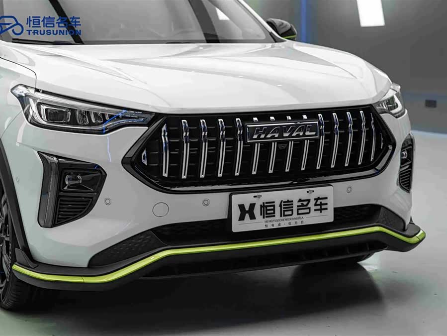 Haval Rabbit 2021 car image #10
