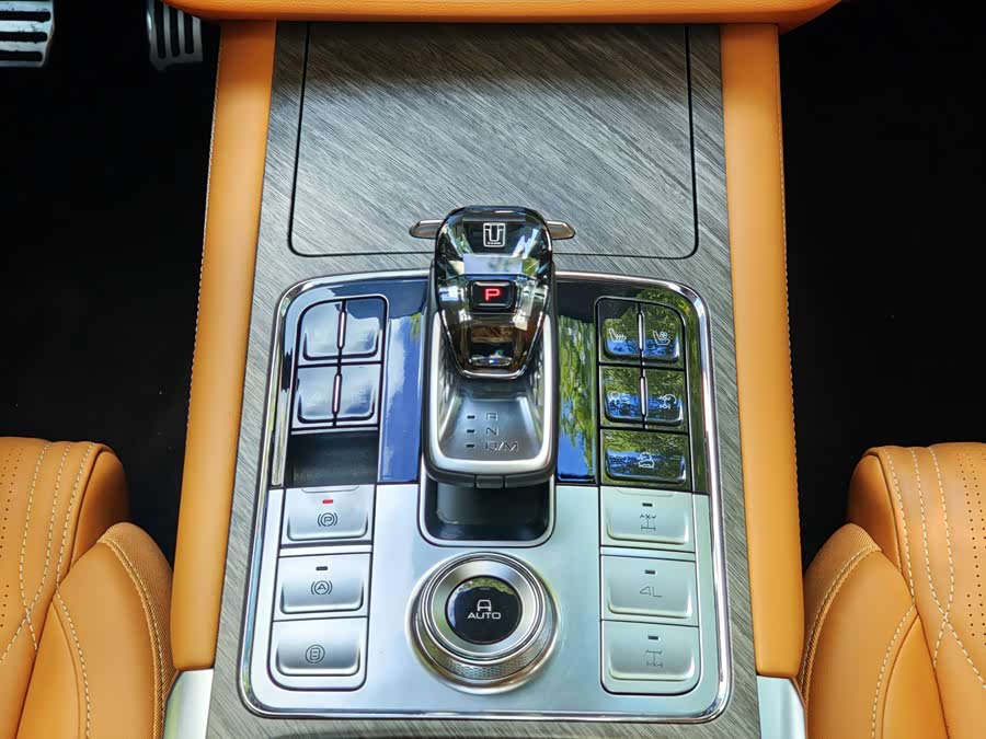 Tank 500 2022 car image #10